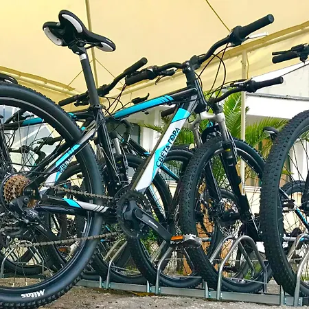 Raya Garden - Park & Winery