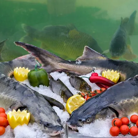 Hotel Raya Garden - Park & Winery Veliko Tărnovo