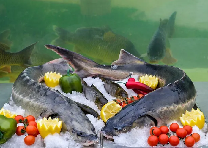 Hotel Raya Garden - Park & Winery Veliko Tarnovo